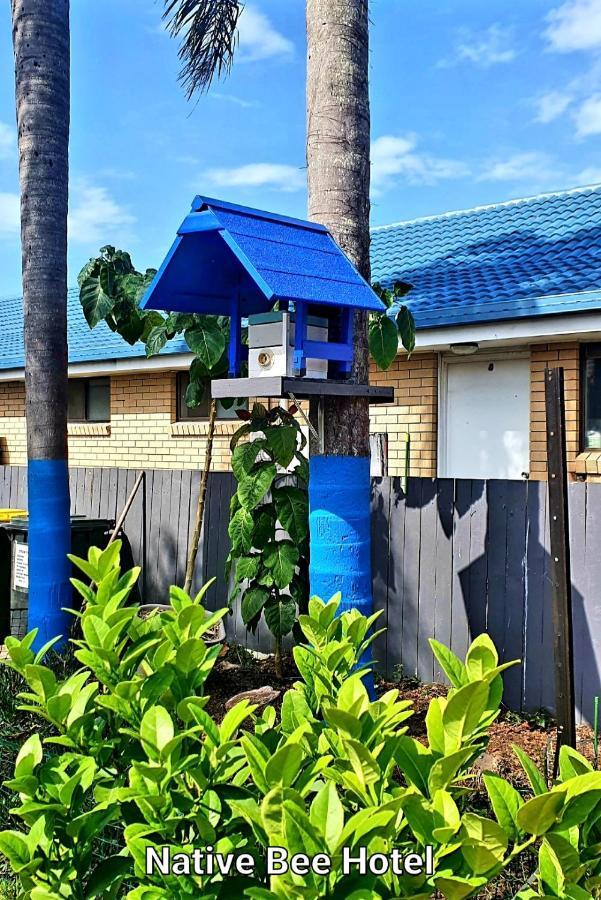 City Lights Motel Tweed Heads Ngoại thất bức ảnh
